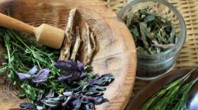Herbs for alcoholism: the best recipes