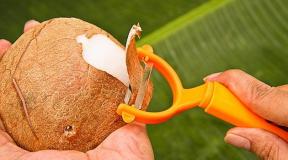 Kuidas kodus kookospähklit murda