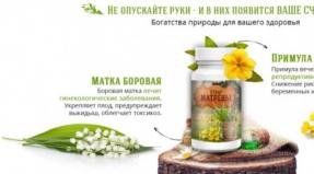 Herbs Matrona for infertility: composition and instructions for use What herbs are included in the decoction of matryona