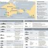 Black Sea Fleet of the Russian Navy