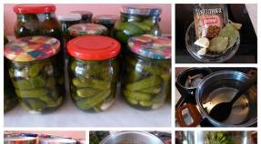 Pickled gherkins: a recipe for the winter crisp, like in a gherkin store
