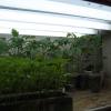 How to make backlight for seedlings