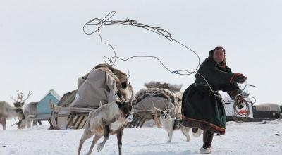 Main occupations and means of transportation of the Nenets