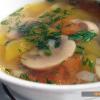 Champignon soup: recipes with photos