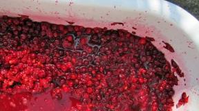 Classic recipe for making cherry wine