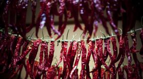 How to dry red hot peppers - recipes for housewives