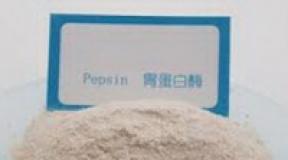 Beef pepsin - composition, what is it
