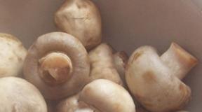 Boiled champignons: recipes for mushroom dishes