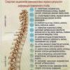 Therapeutic exercise scoliosis of the spine