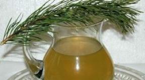 What is useful honey from pine shoots?