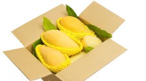 Shelf life, temperature and storage conditions of mango at home
