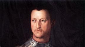 Florence: completion of the history of the Medici family What the Medici family did for the art of the Renaissance