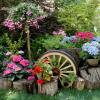 Do-it-yourself flower beds and flower beds of perennial flowers