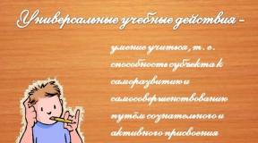 Formation of universal educational actions in the lessons of the Russian language Uud in teaching the Russian language