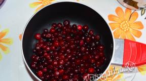 Cranberry sauce for meat: all the subtleties of preparation Cranberry sauce for meat recipe