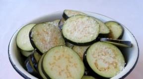 Stewed eggplants with tomatoes - delicious recipes for every day dishes How to stew eggplants with garlic