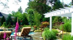 Landscape design: how to properly organize the space Ready landscape design project