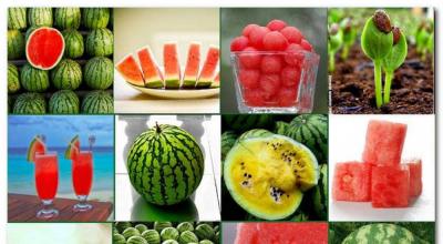 Is it possible to eat watermelon with diabetes: benefits and harms