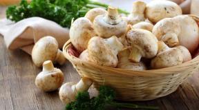 How and how much to fry champignons in a pan?