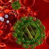 How long does it take for HIV to appear after infection and its diagnosis?