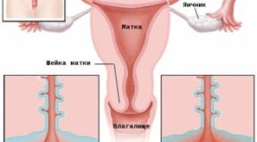Why is inflammation of the cervical canal dangerous?