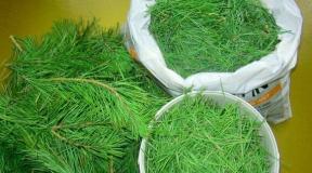 Nõelte ja okaspuukontsentraadi kasutamine maamajas - väetamine ja kaitse kahjurite eest