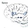 Clinical and psychological approach to the problem of sensory aphasia