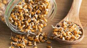How useful germinated grains