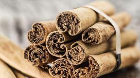 The benefits and harms of cinnamon, the advantages and disadvantages of its use for medicinal purposes