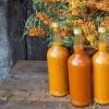 Secrets of successful planting of sea buckthorn in autumn
