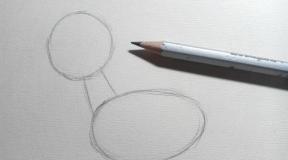 How to draw a deer head with a pencil How to draw a deer face with a pencil