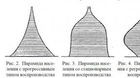 Возрастные пирамиды: виды и типы возрастных структур Поло возрастная пирамида