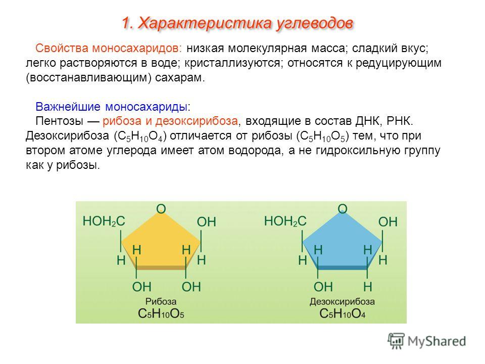 Химические свойства моносахаридов презентация